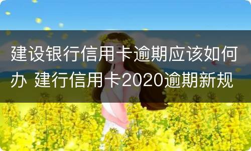 建设银行信用卡逾期应该如何办 建行信用卡2020逾期新规