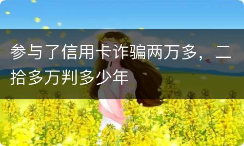 参与了信用卡诈骗两万多，二拾多万判多少年