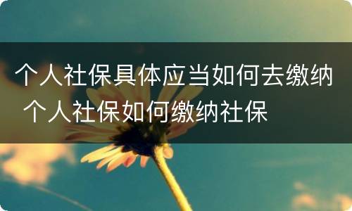 个人社保具体应当如何去缴纳 个人社保如何缴纳社保