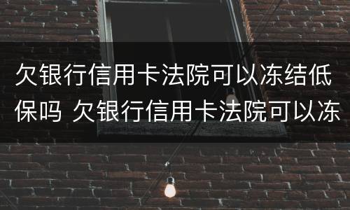 欠银行信用卡法院可以冻结低保吗 欠银行信用卡法院可以冻结低保吗