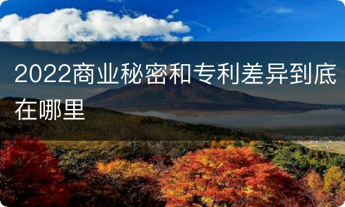 2022商业秘密和专利差异到底在哪里