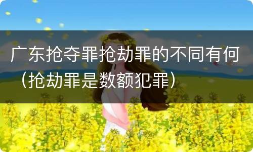 广东抢夺罪抢劫罪的不同有何（抢劫罪是数额犯罪）