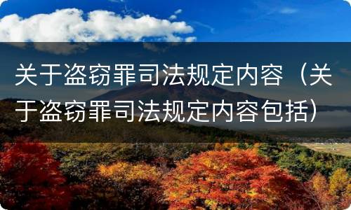关于盗窃罪司法规定内容（关于盗窃罪司法规定内容包括）