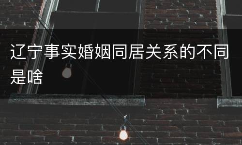 辽宁事实婚姻同居关系的不同是啥