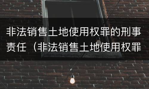非法销售土地使用权罪的刑事责任（非法销售土地使用权罪的刑事责任）
