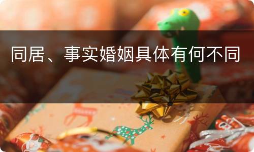 同居、事实婚姻具体有何不同