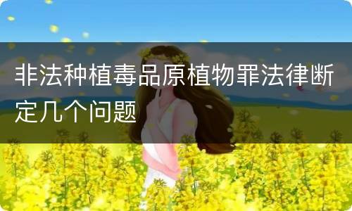 非法种植毒品原植物罪法律断定几个问题