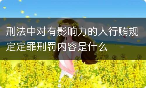 刑法中对有影响力的人行贿规定定罪刑罚内容是什么