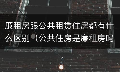 廉租房跟公共租赁住房都有什么区别（公共住房是廉租房吗）