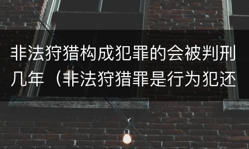 非法狩猎构成犯罪的会被判刑几年（非法狩猎罪是行为犯还是结果犯）