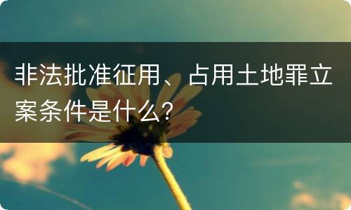 非法批准征用、占用土地罪立案条件是什么？