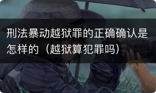 刑法暴动越狱罪的正确确认是怎样的（越狱算犯罪吗）