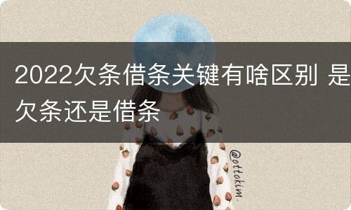 2022欠条借条关键有啥区别 是欠条还是借条