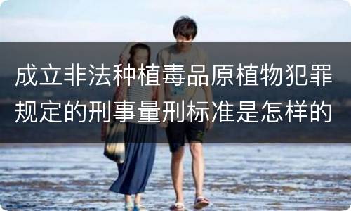 成立非法种植毒品原植物犯罪规定的刑事量刑标准是怎样的