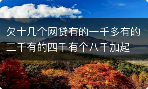 欠十几个网贷有的一千多有的二千有的四千有个八千加起