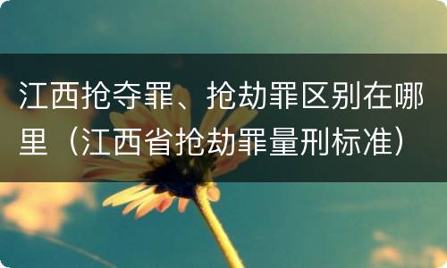 江西抢夺罪、抢劫罪区别在哪里（江西省抢劫罪量刑标准）