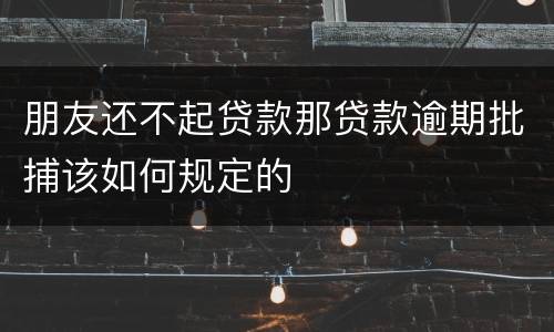 朋友还不起贷款那贷款逾期批捕该如何规定的