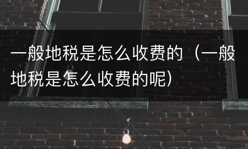 一般地税是怎么收费的（一般地税是怎么收费的呢）