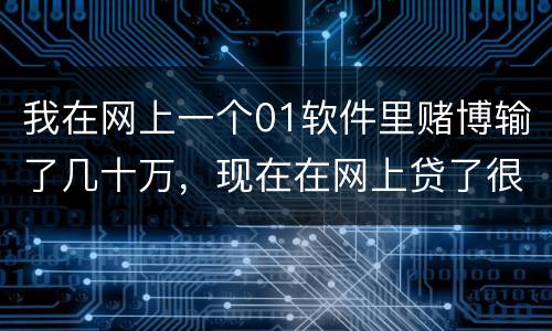 我在网上一个01软件里赌博输了几十万，现在在网上贷了很多网贷，还不起了，怎么办