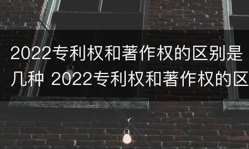 2022专利权和著作权的区别是几种 2022专利权和著作权的区别是几种类型