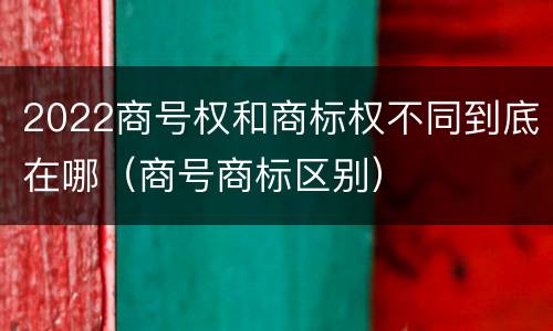 2022商号权和商标权不同到底在哪（商号商标区别）