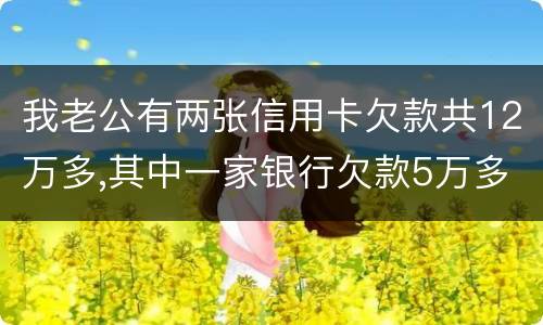 我老公有两张信用卡欠款共12万多,其中一家银行欠款5万多