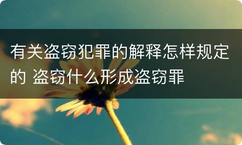 有关盗窃犯罪的解释怎样规定的 盗窃什么形成盗窃罪