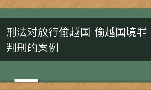 刑法对放行偷越国 偷越国境罪判刑的案例