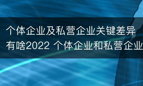 个体企业及私营企业关键差异有啥2022 个体企业和私营企业有什么区别