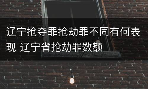 辽宁抢夺罪抢劫罪不同有何表现 辽宁省抢劫罪数额