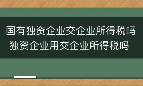 国有独资企业交企业所得税吗 独资企业用交企业所得税吗