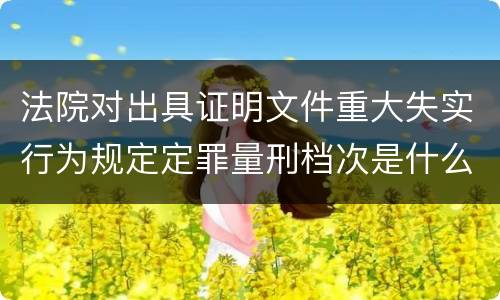 法院对出具证明文件重大失实行为规定定罪量刑档次是什么样