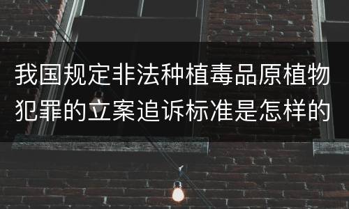 我国规定非法种植毒品原植物犯罪的立案追诉标准是怎样的