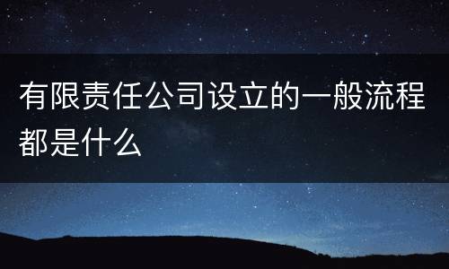 有限责任公司设立的一般流程都是什么