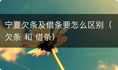宁夏欠条及借条要怎么区别（欠条 和 借条）
