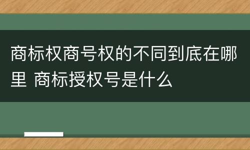 商标权商号权的不同到底在哪里 商标授权号是什么