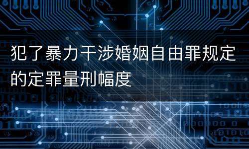 犯了暴力干涉婚姻自由罪规定的定罪量刑幅度