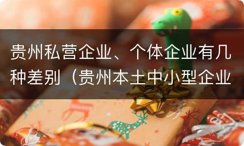 贵州私营企业、个体企业有几种差别（贵州本土中小型企业有哪些）