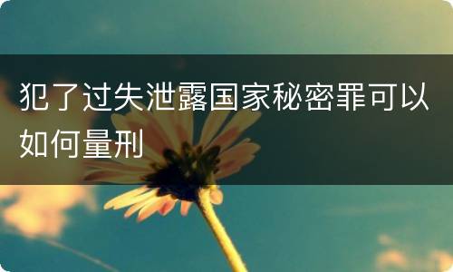 犯了过失泄露国家秘密罪可以如何量刑