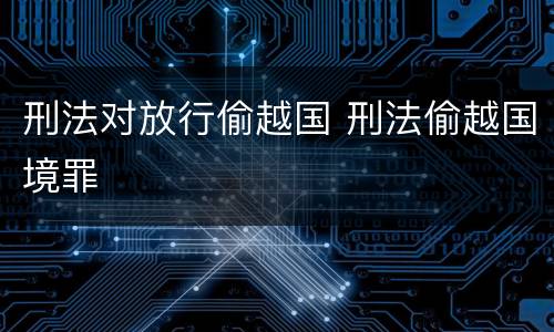 刑法对放行偷越国 刑法偷越国境罪