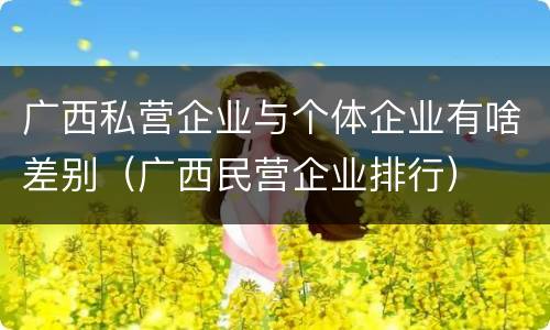 广西私营企业与个体企业有啥差别（广西民营企业排行）