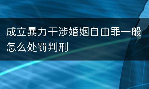成立暴力干涉婚姻自由罪一般怎么处罚判刑