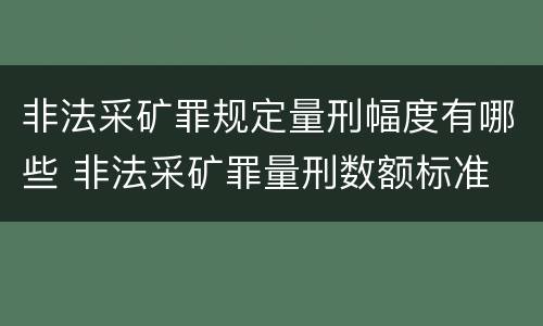 非法采矿罪规定量刑幅度有哪些 非法采矿罪量刑数额标准
