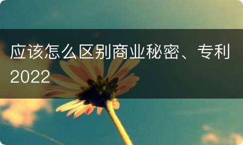 应该怎么区别商业秘密、专利2022
