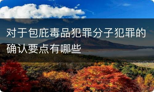 对于包庇毒品犯罪分子犯罪的确认要点有哪些