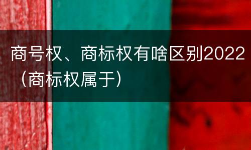 商号权、商标权有啥区别2022（商标权属于）