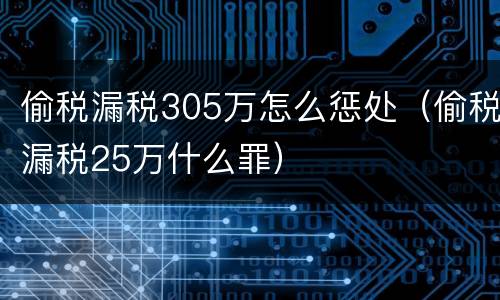 偷税漏税305万怎么惩处（偷税漏税25万什么罪）