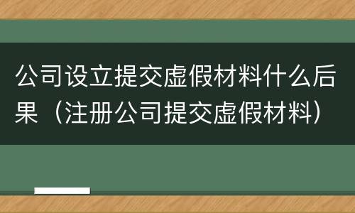 公司设立提交虚假材料什么后果（注册公司提交虚假材料）