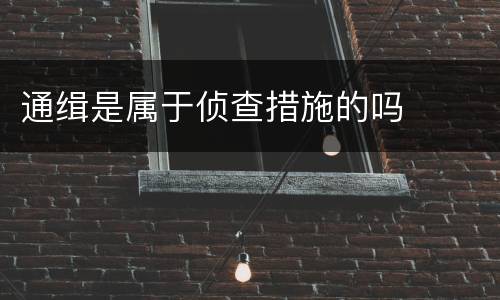 通缉是属于侦查措施的吗