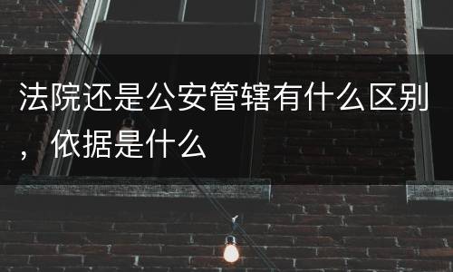 法院还是公安管辖有什么区别，依据是什么